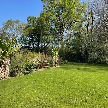 Le Chant Du Gave- Maison Neuve Lumineuse Avec Piscine- Riviere En Contrebas Du Jardin Sauveterre-de-Bearn